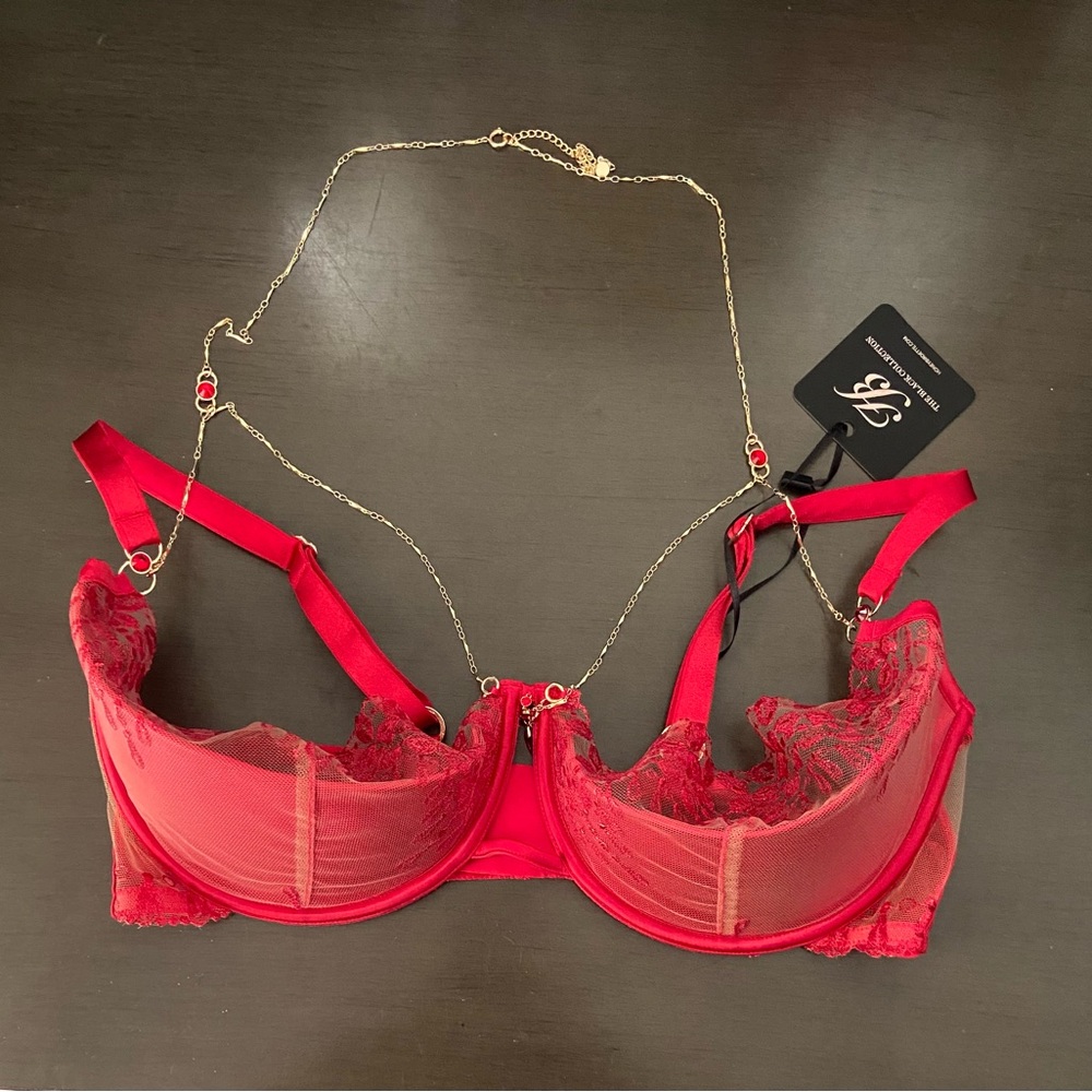 Honey Birdette Ruby Raspberry Bra - Picture 4 of 6